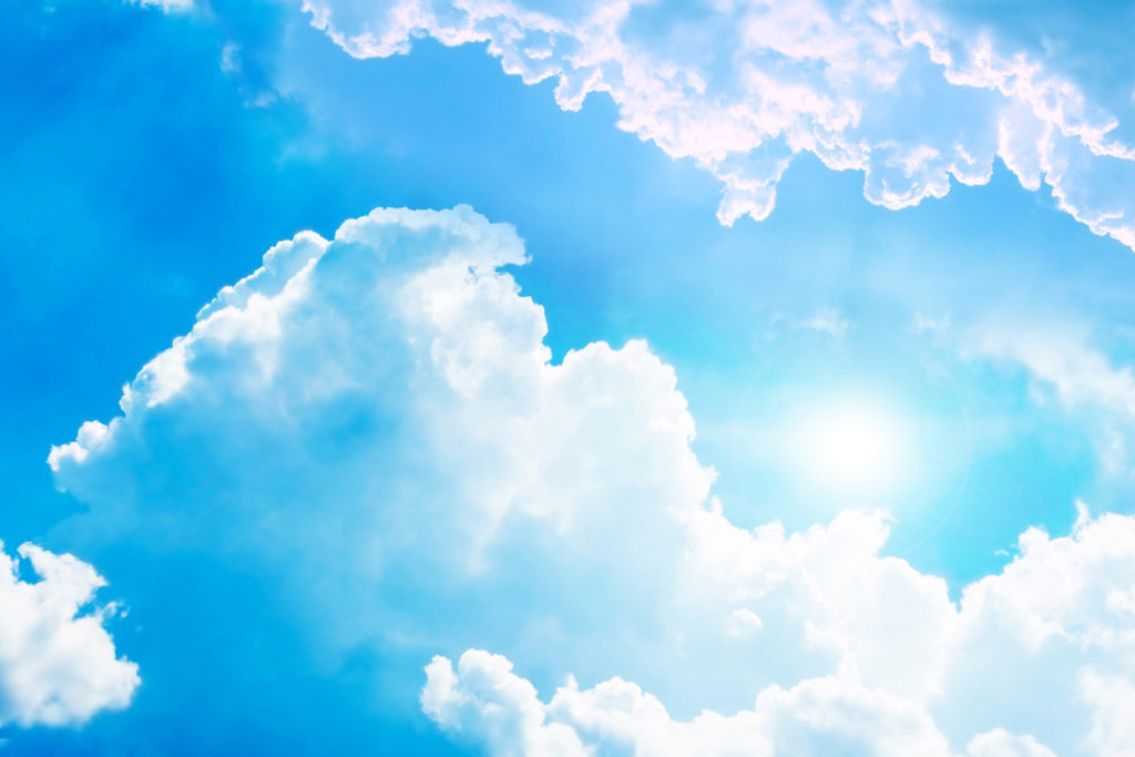 Dalya’ Diye Bağırırken, Gökyüzüne Dalya Çiçekleri Fırlatsak