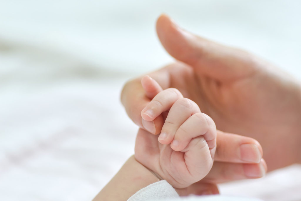 Ağaçların En Yüksek Dallarına Turna Kuşları Konsun