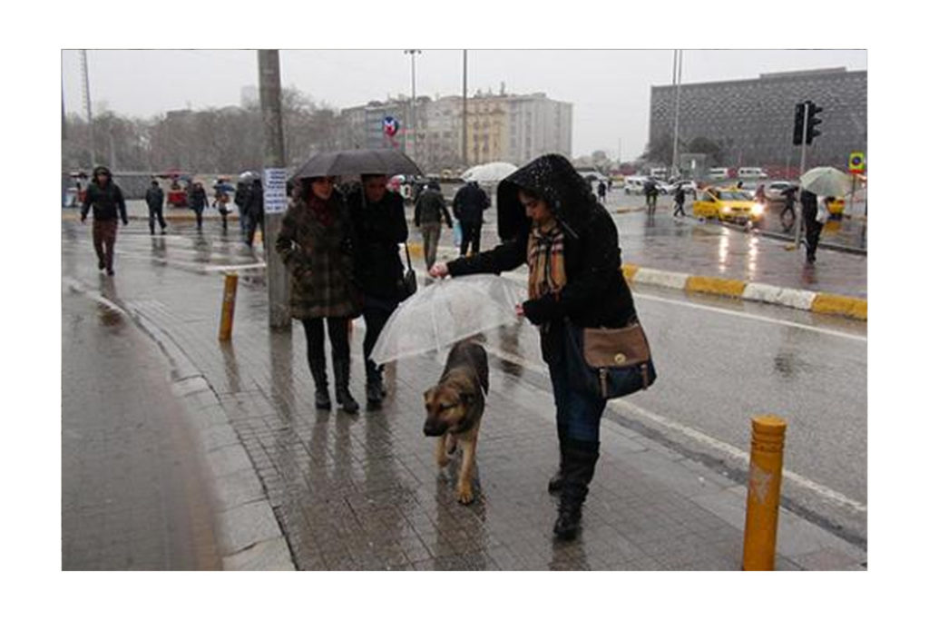 Buz Kesen Soğukta Sokaklarda Yaşayanlar...