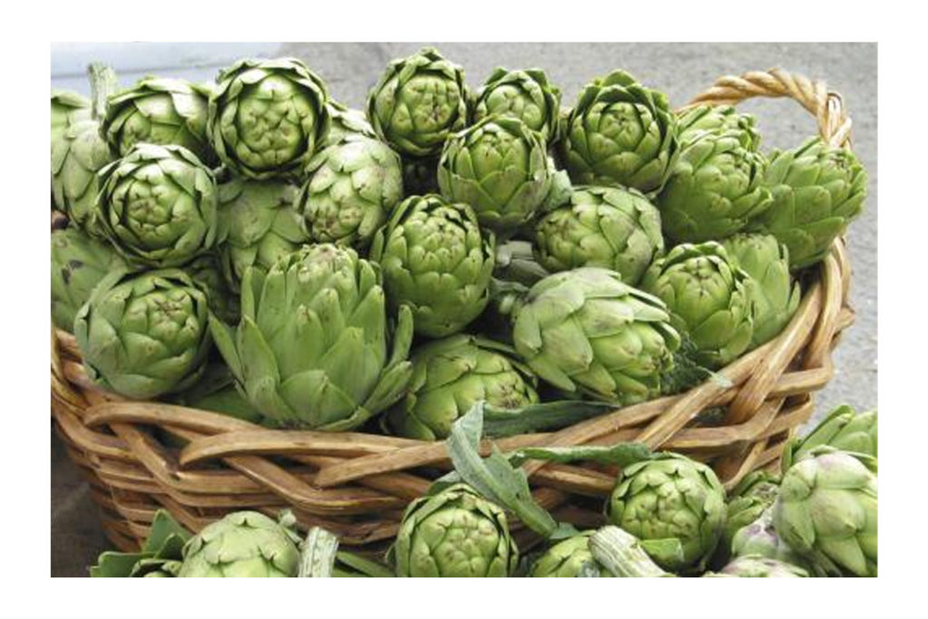 Enginar Güzellemesi