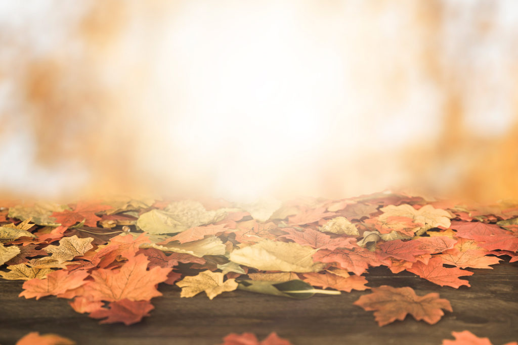 Gönencinizi Yenileyin